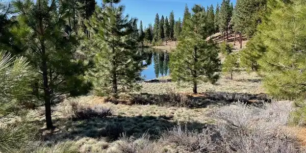 328 Blacktail Ridge, Portola CA 96122