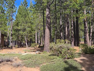13080 Roundhill Drive, Truckee CA 96161