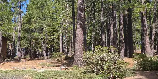 13080 Roundhill Drive, Truckee CA 96161
