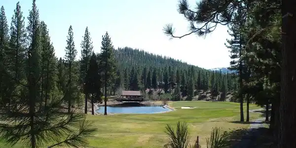 404 Blacktail Ridge, Portola CA 96122