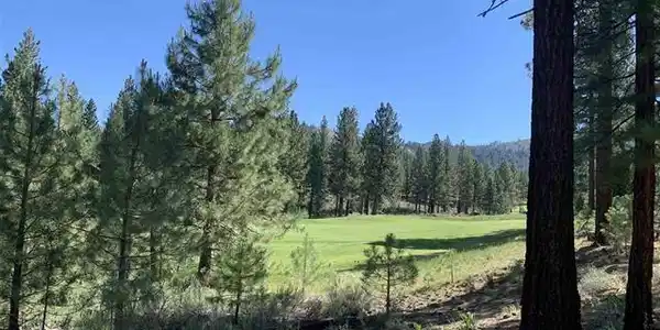 2124 Grizzly Ranch Road, Portola CA 96122