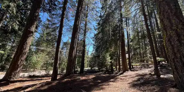 84 Yonkalla Trail, Graeagle CA 96103