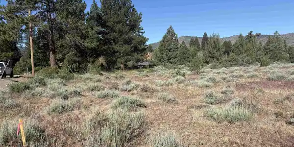 364 Wrangler Drive, Loyalton CA 96118-5728