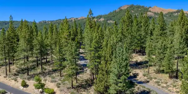 1924 Grizzly Ranch Road, Portola CA 96122