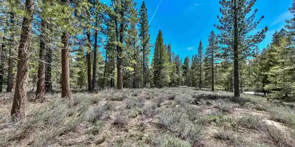 Sawmill Road, South Lake Tahoe CA 96150