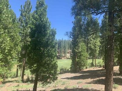 2104 Grizzly Ranch Road, Portola CA 96122