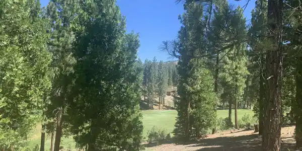 2104 Grizzly Ranch Road, Portola CA 96122