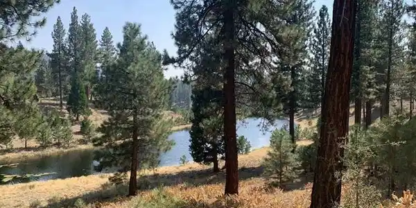 300 Blacktail Ridge, Portola CA 96122