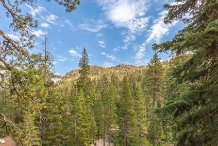 2319 John Scott Trail