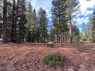 15411 Kent Drive, Truckee CA 96161