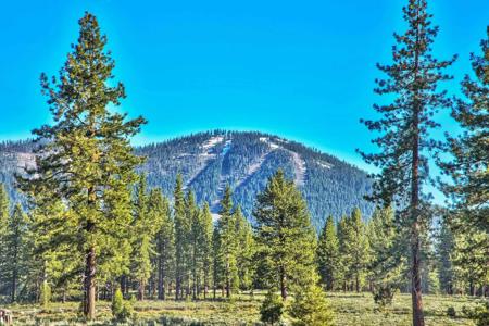 9701 Highway 267, Truckee CA 96161-3227