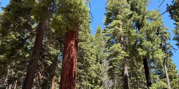 1390 Kings Vista Court, Tahoe Vista CA 96148-0000