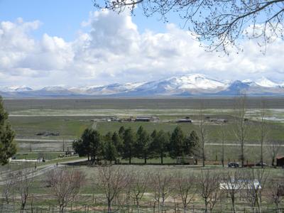 7960 Litov Court
