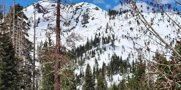 2090 Chalet Road # 2, Alpine Meadows CA 96146-0000