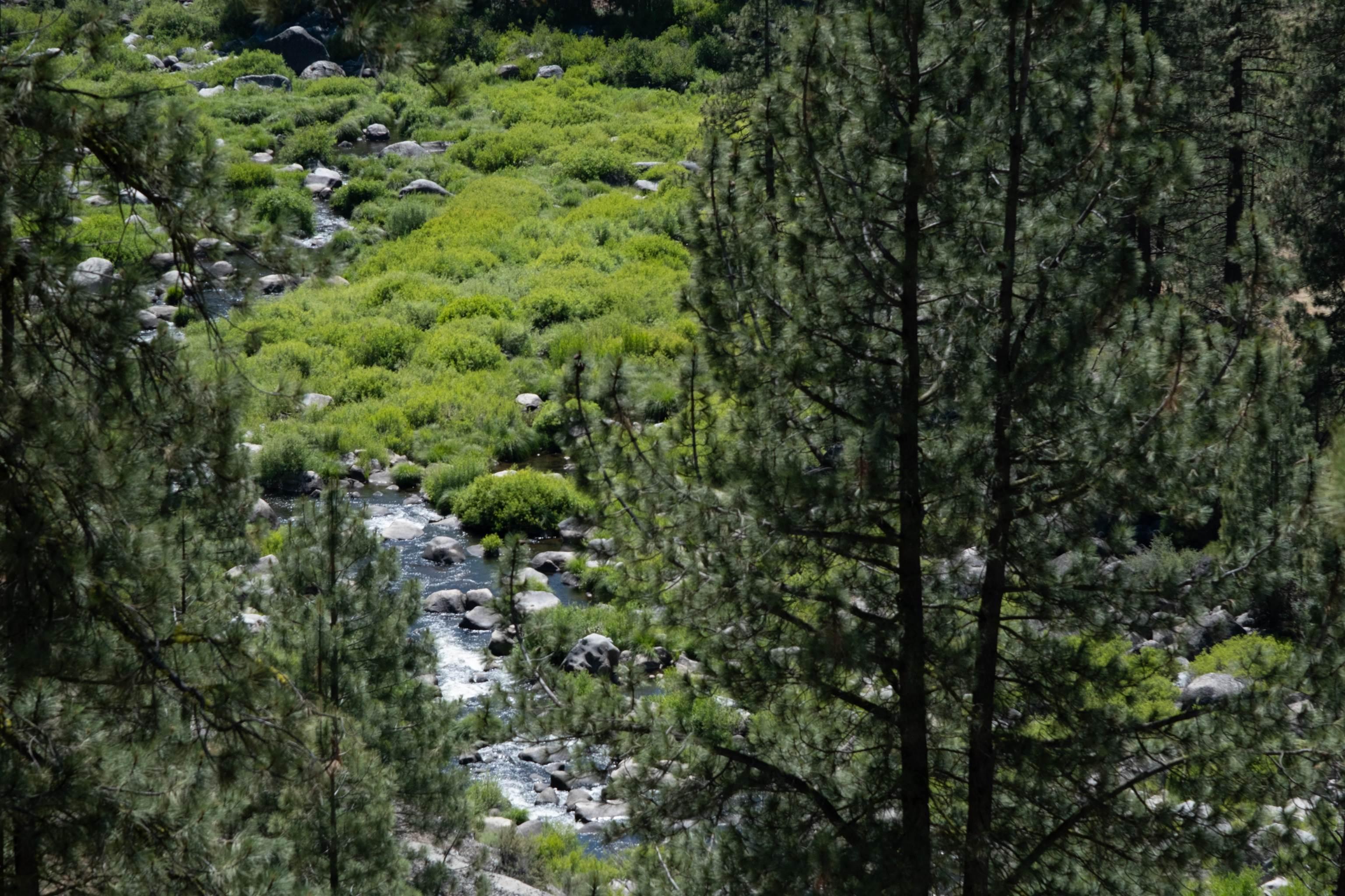Image 3: The view from the property of the middle fork of the Feather River., Feather River