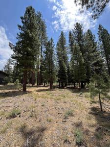 15411 Kent Drive, Truckee CA 96161