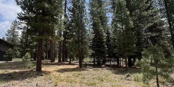 15411 Kent Drive, Truckee CA 96161