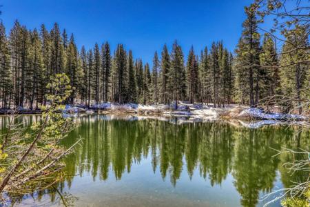 19675 Boreal Ridge Road
