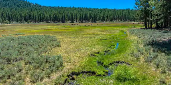 XXX Smithneck Road, Loyalton CA 96118