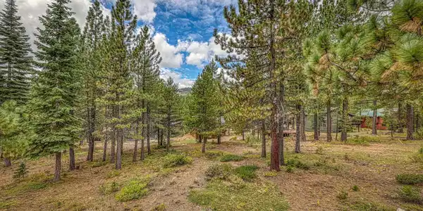Image 2: Backyard