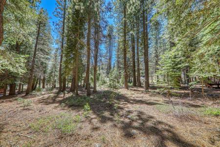 16859 Northwoods Boulevard, Truckee CA 96161-0000