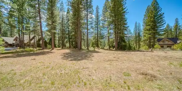 118 Saddle Ridge Road, Clio CA 96106