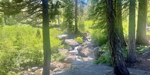 2337 Bear Falls Lane, Alpine Meadows CA 96146-9822