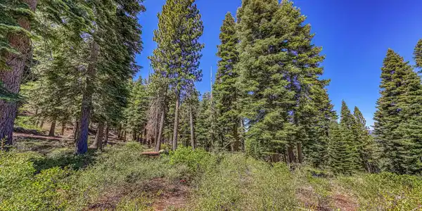 2620 Mill Site Road, Truckee CA 96161