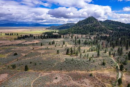 2990 Segundo Road, Beckwourth CA 96129