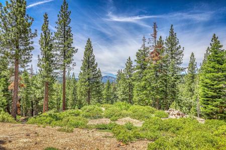 16145 Martis Peak Road, Truckee CA 96161