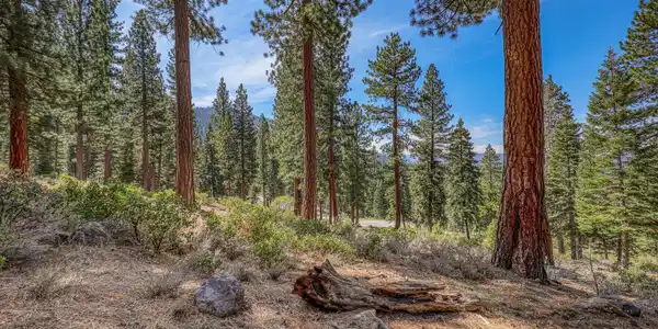 2790 Cross Cut Court, Truckee CA 96161