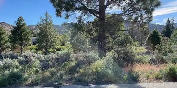 556 Longhorn Drive, Loyalton CA 96118