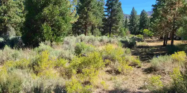598 Longhorn Drive, Loyalton CA 96118