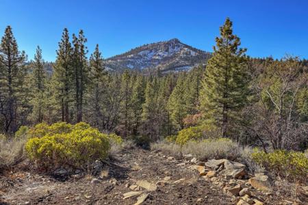 3000 22N03, Beckwourth CA 96129