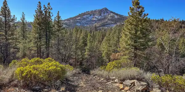 3000 22N03, Beckwourth CA 96129
