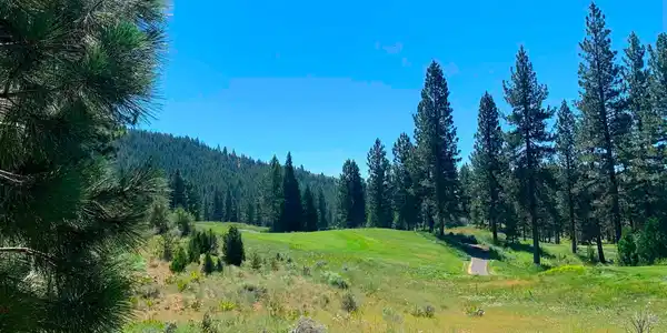 300 Grizzly Ranch Road, Portola CA 96122