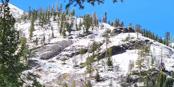 1539 Mineral Springs Trail, Alpine Meadows CA 96146-2110