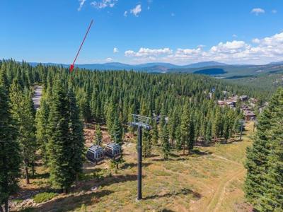 2209 Silver Fox Court, Truckee CA 96161