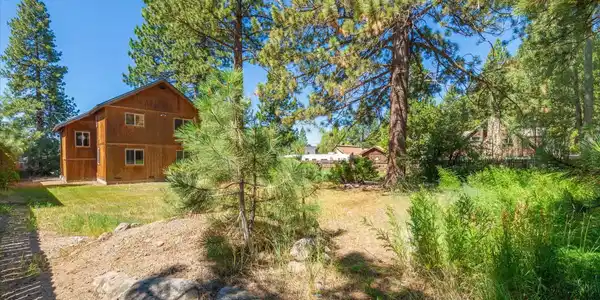 Image 4: Backyard