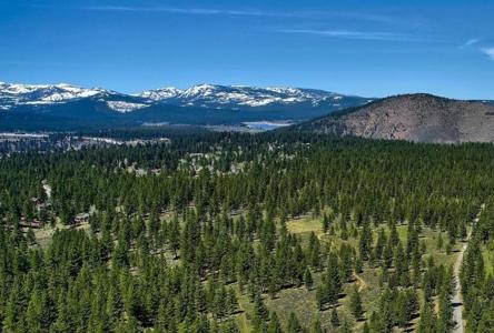 1 Martis Peak Road, Truckee CA 96161