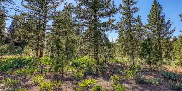 7445 Lahontan Drive, Truckee CA 96161