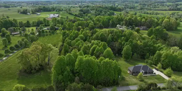 Image 2: drone 12