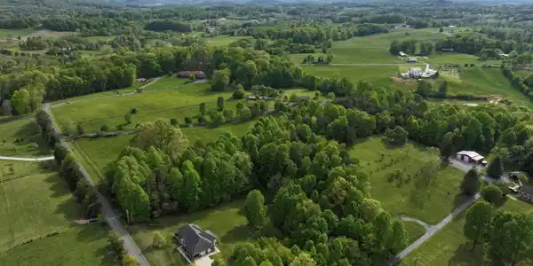 Image 4: drone 11