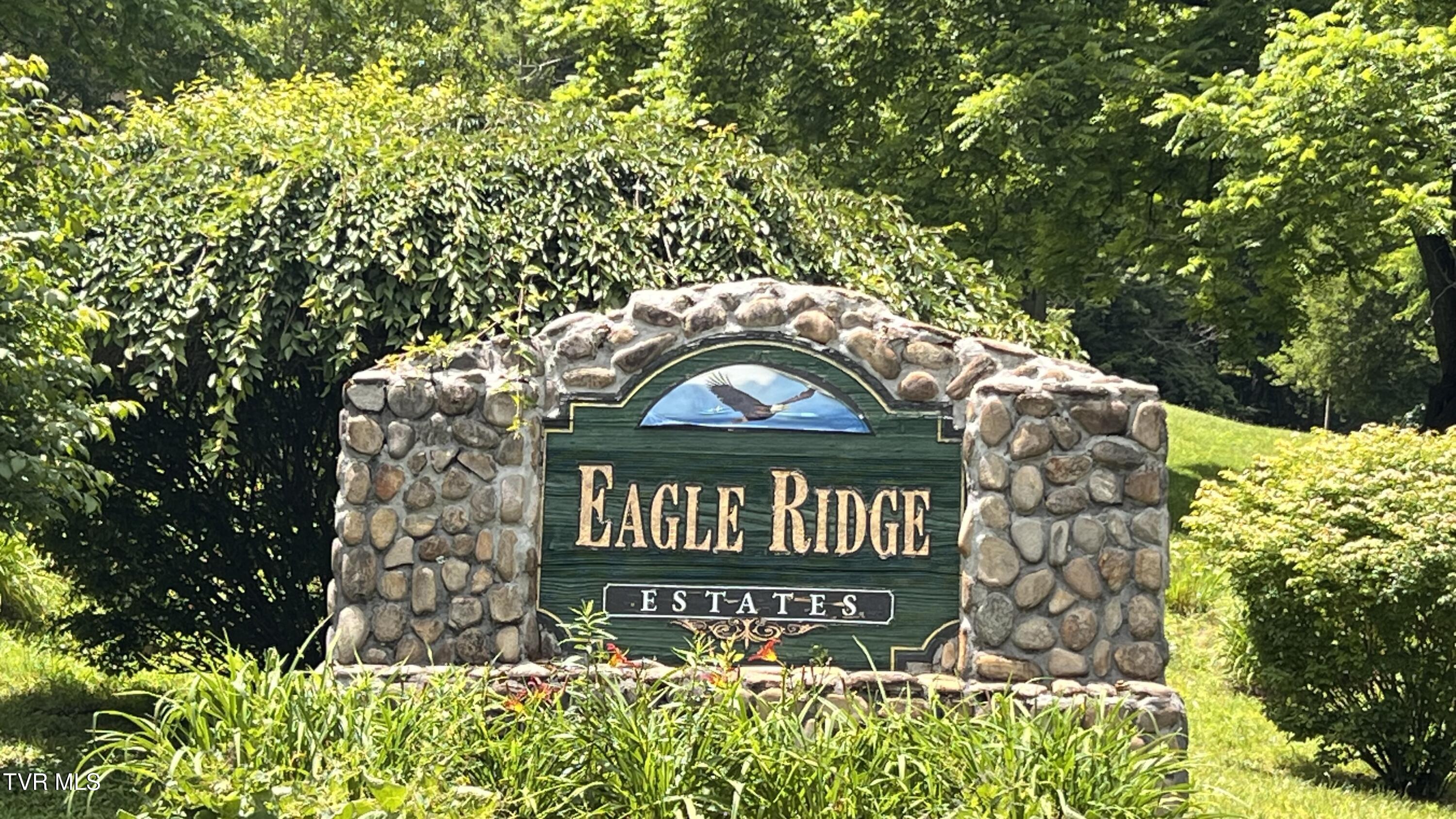 Image 4: EAGLE RIDGE L13> 00106