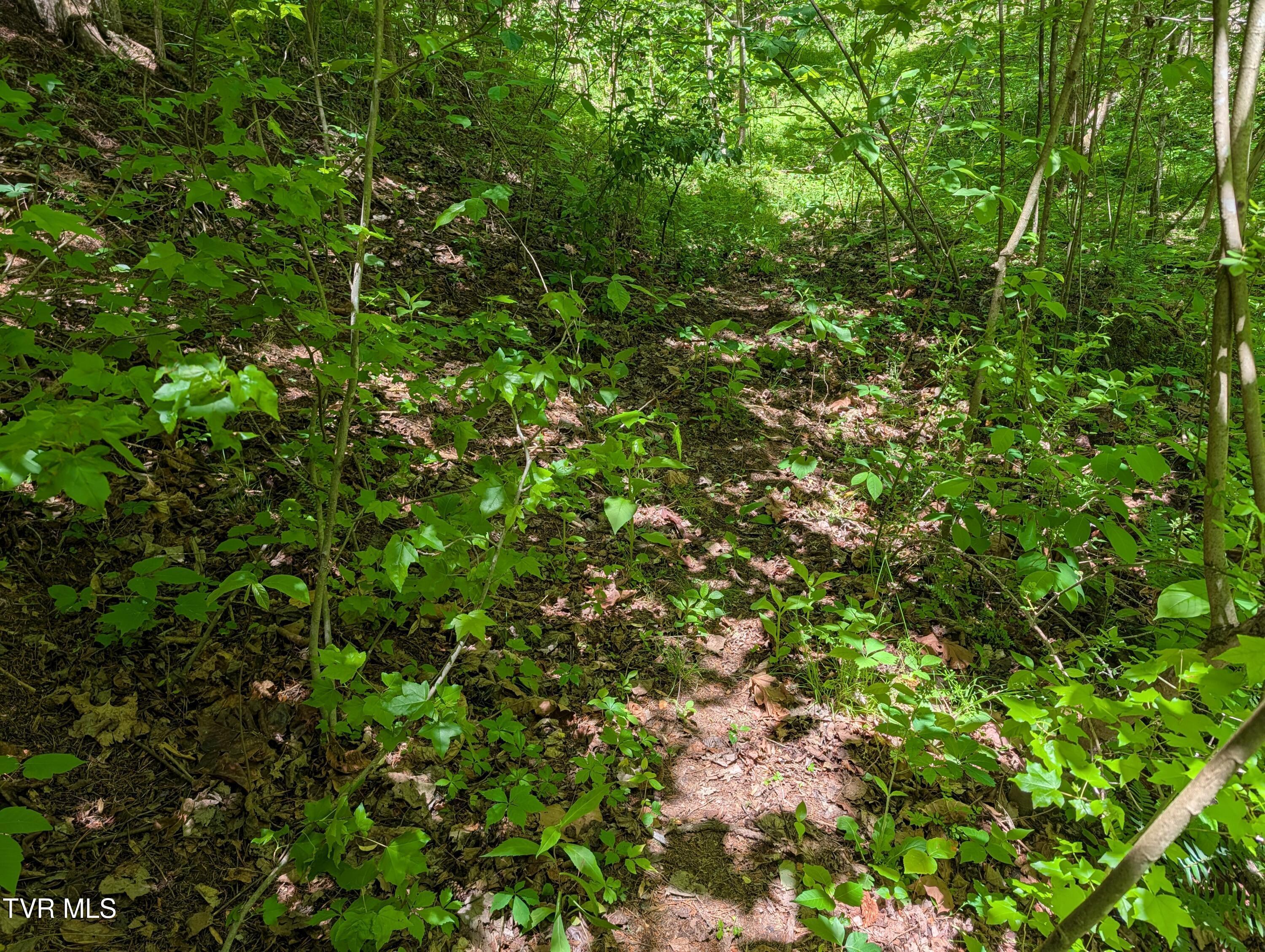 Image 3: 3