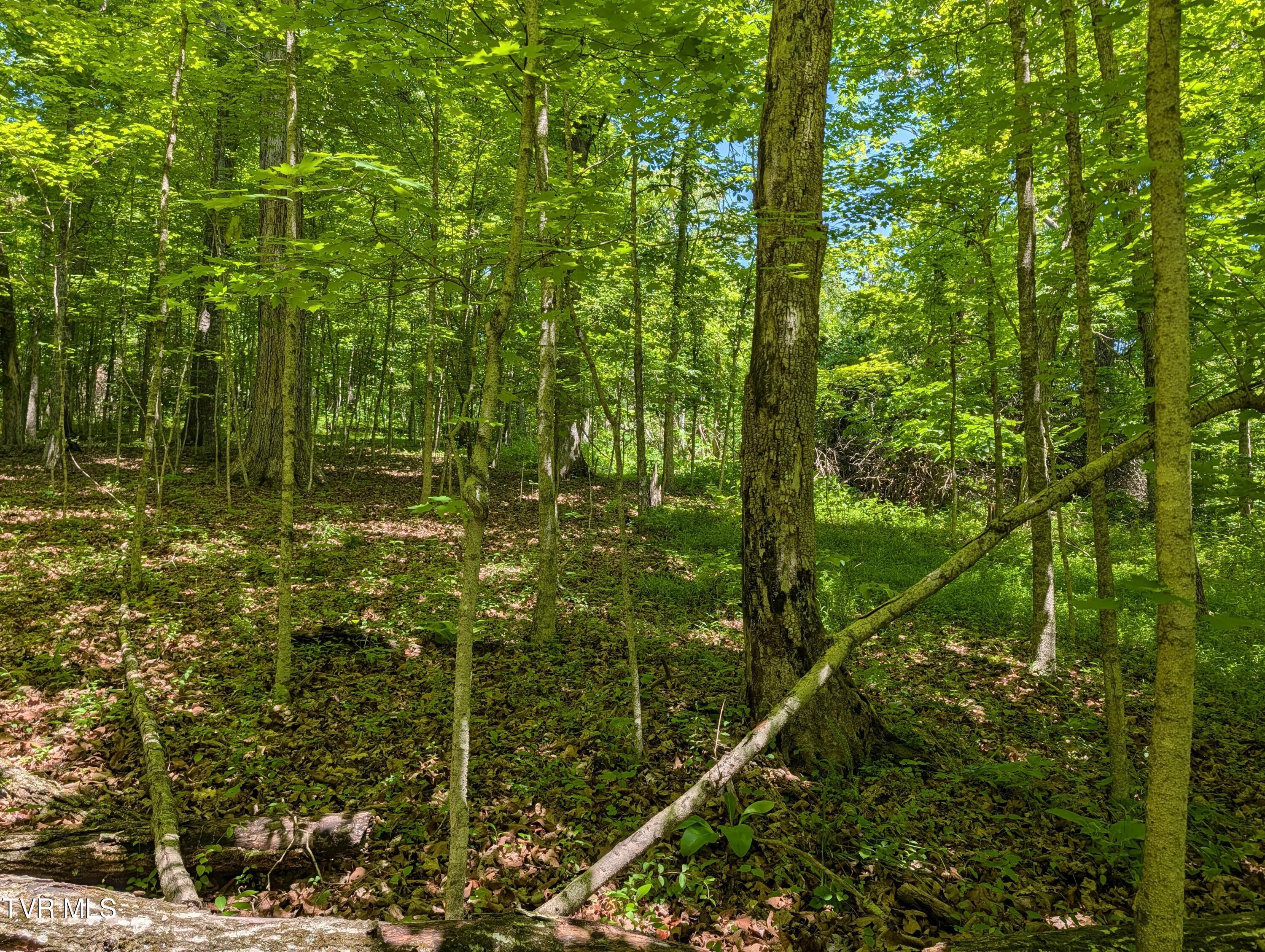 Image 4: 4