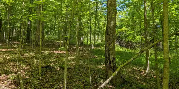 Image 4: 4