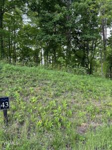 000 Lot #43 - Watauga Ridge Road
