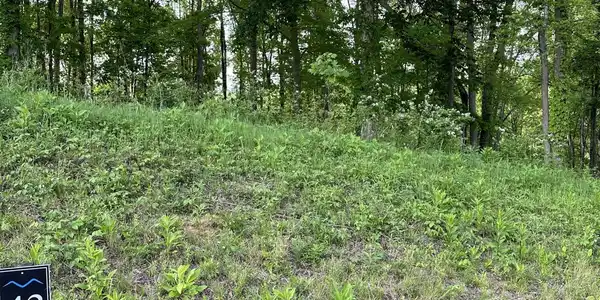 000 Lot #43 - Watauga Ridge Road