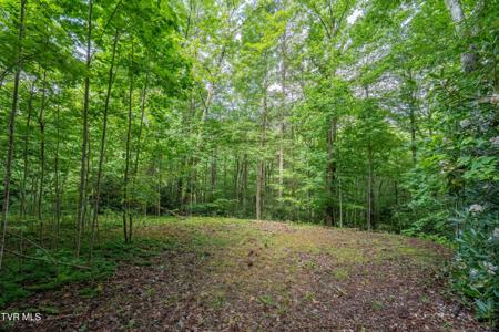1501 Sprucy Ridge Private Road